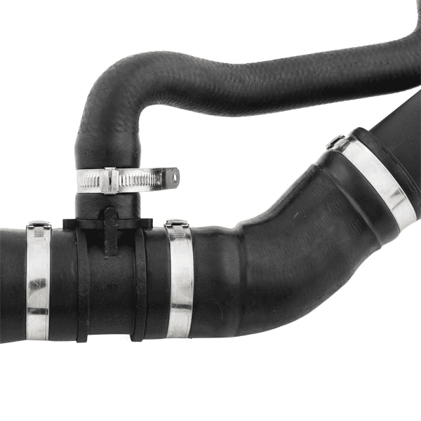 hose clamp application