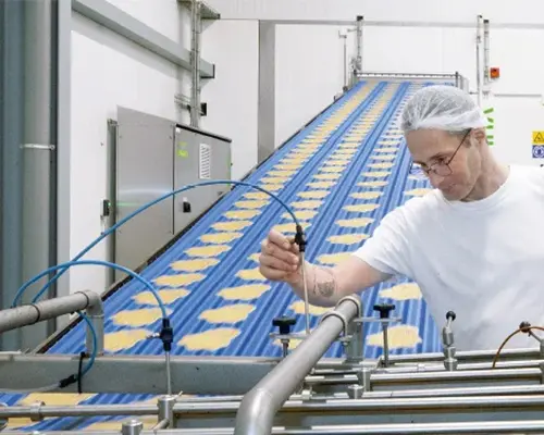 Food Processing Industry