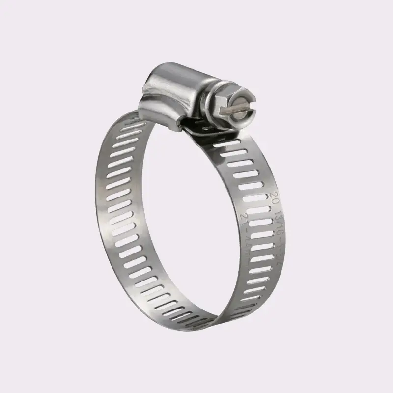 Worm Drive Clamp